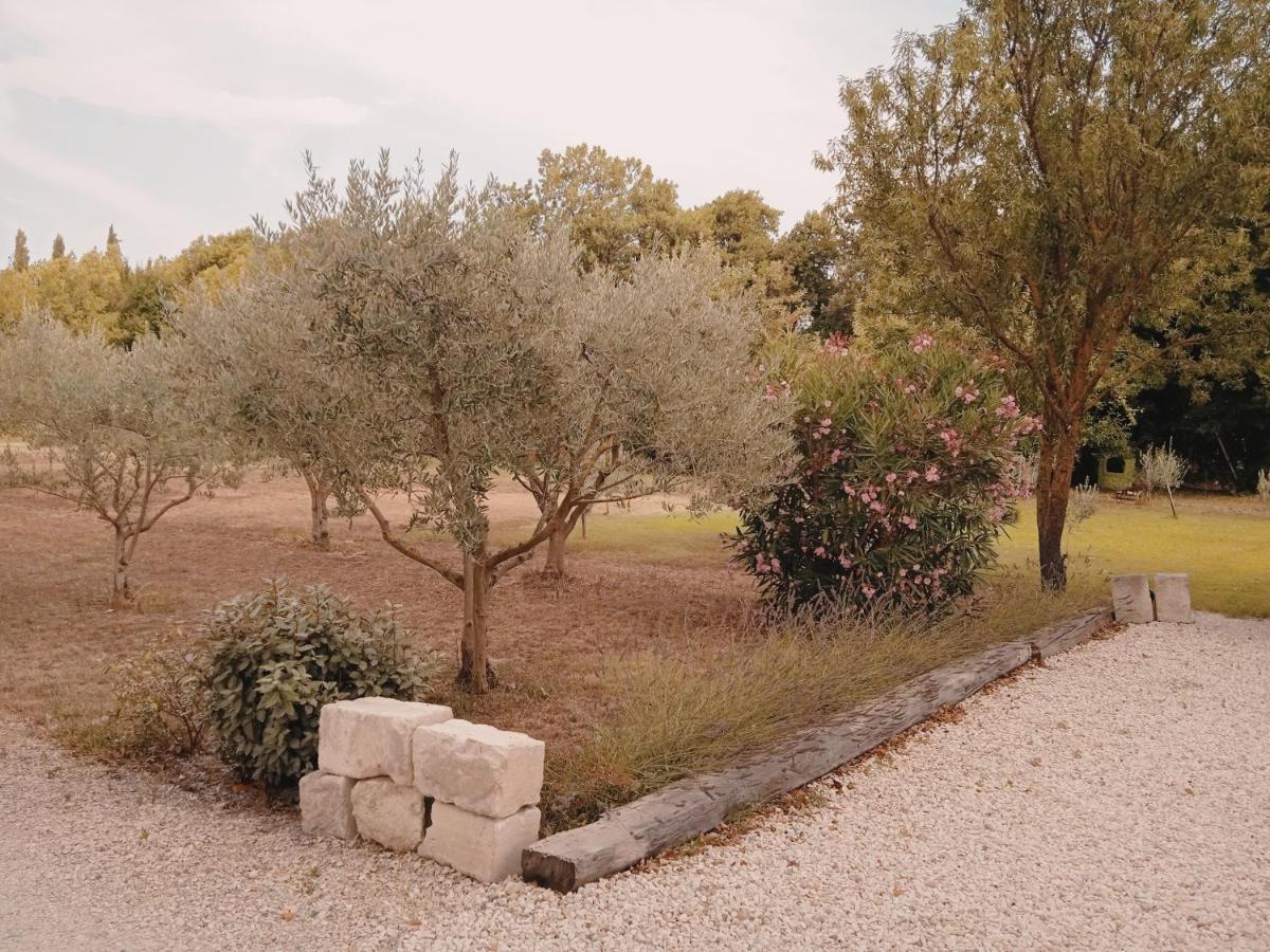 Gite Du Mas De La Finiere ,Avec Spa Interieur Châteaurenard Dış mekan fotoğraf