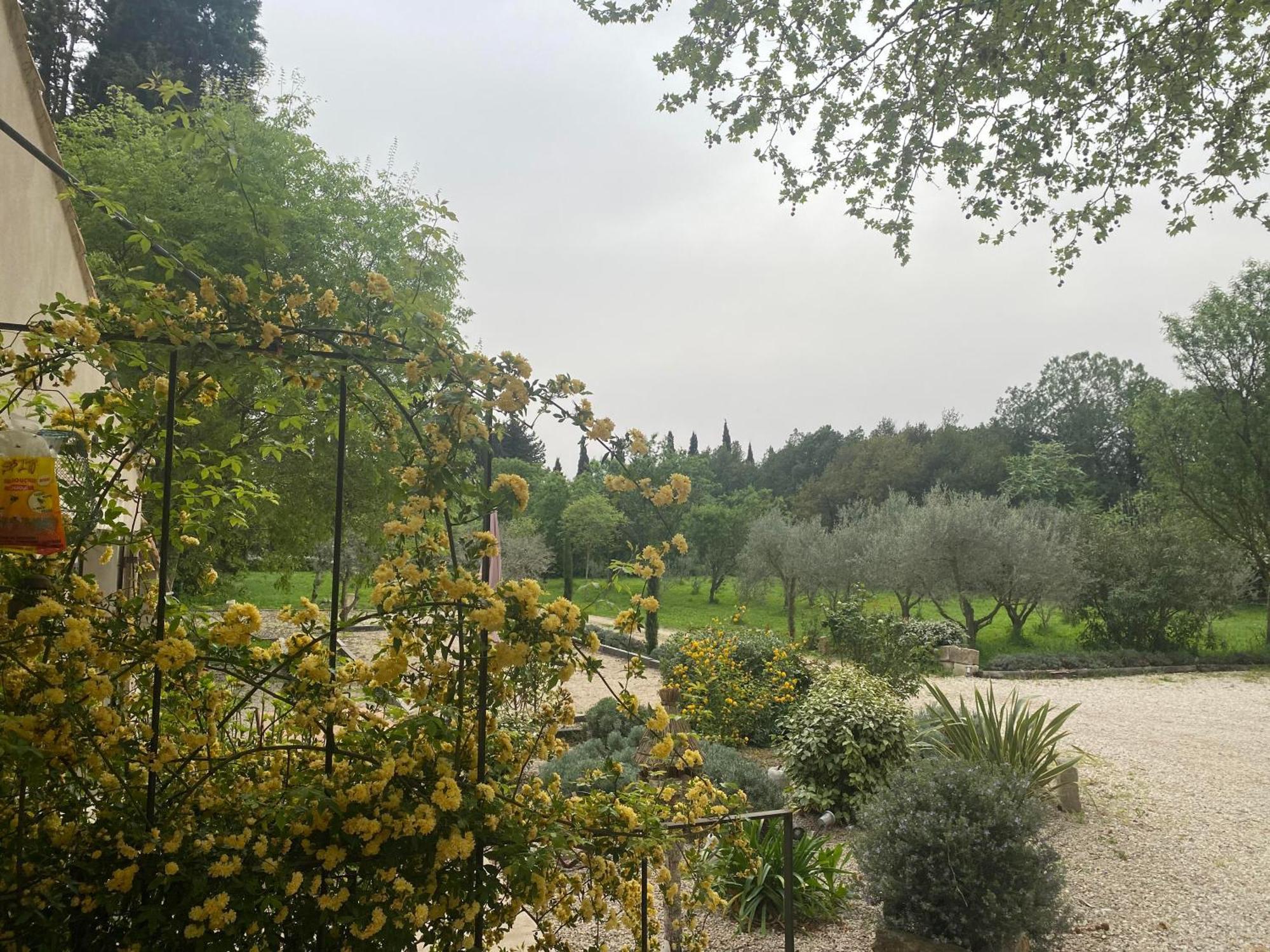 Gite Du Mas De La Finiere ,Avec Spa Interieur Châteaurenard Dış mekan fotoğraf